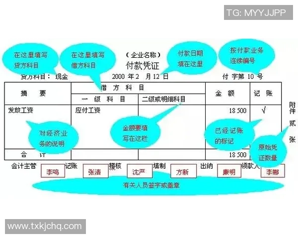 飞盘战术解析：北京飞盘队如何构建高效防守体系与战术配合